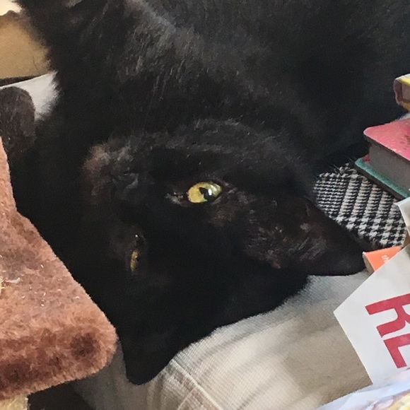 Meet your Posher, Melanie - Picture 12 of 15